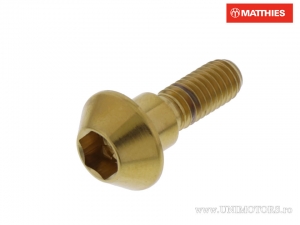 Domború sapka csavar Pro Bolt M6 x 1.00 x 20 mm rozsdamentes acél A4 arany - JM