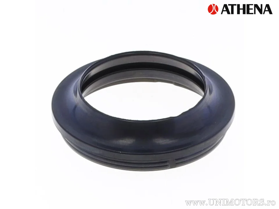 Dorn de praf 41x54,5x5,8/15 f brand Athena - Athena