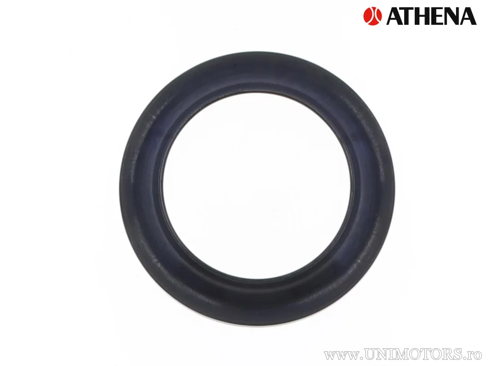Dorn de praf 41x54,5x5,8/15 f brand Athena - Athena