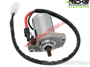 Electromotor - E-Ton AXL 50 ('00-'01) / RXL 50 ('02-'04) / Polaris Predator 50 ('04-'06) / Scrambler 50 ('01-'13) - (Rick's)