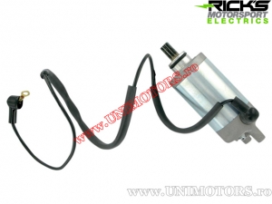 Electromotor - Yamaha YFM 200 / YFM 225 / YFM 250X Bear Tracker / YFM 250 Big Bear - (Rick's)
