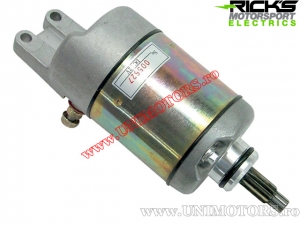 Elettromotore - Honda TRX 300 EX Sporttrax ('00-'08) / TRX 300 FW Fourtrax('93-'08) - (Rick's)