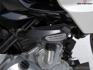 Engine and Fairing Crashpad Set - Polyamide/Aluminum - Black/Silver - BMW G 310 R ('16-'20) - SW-Motech