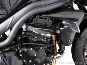 Engine and Fairing Crashpad Set - polyamide/aluminum - black/silver - Triumph Speed Triple 1050 ('04-'10) - SW-Motech