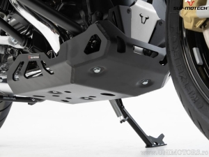 Engine guard - material: aluminum - color: black - BMW R 1250 R / RS ('18-) - SW-Motech