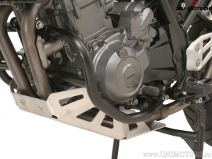 Engine guard - material: aluminum - color: silver - Yamaha XT660 X / R ('04-'16) - SW-Motech