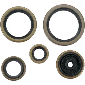 Engine Seal Set - HUSABERG TE 250 / TE 300 / HUSQVARNA TC 250 / TE 250 / KTM EXC 250 / EXC 250 RACING - Moose