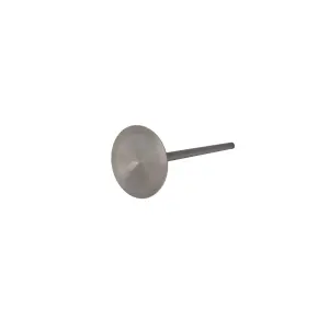 Engine Valve - Titanium - 09262644