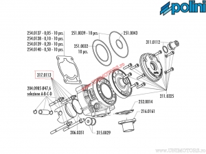 Ensemble de broches / écrous pour cylindre PRE 2 (diamètre du piston 47,6mm) - Piaggio Zip 50 2T SP H2O ('96-'00) - Polini