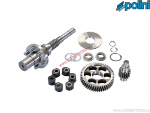 Ensemble de transmission secondaire Z 14/48 (avec accouplement flexible) - Piaggio NRG MC3 DD 50 H2O 2T E1 ('01-'04) - Polini