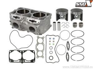 Ensemble moteur - Polaris Assault RMK 800 / Indy 800 / Pro RMK 800 / RMK 800 / Rush 800 / SKS 800 / SwitchBack 800 - Sno-X