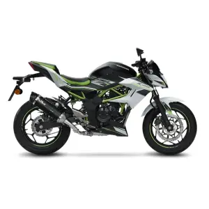 Escapamento Slip-On Carbono LV One Evo - KAWASAKI NINJA 125 ABS ('19-'24) / Z 125 ABS ('19-'24) - Leo Vince