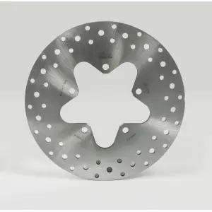 F Series Brake Rotor - Stainless Steel - 17103349