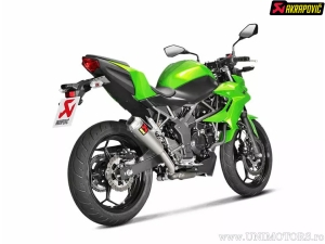 Final Slip-On Line - KAWASAKI NINJA 125 ABS ('19-'24) / Z 125 ABS ('19-'24) / Z 250 SL ('15-'16) - Akrapovič