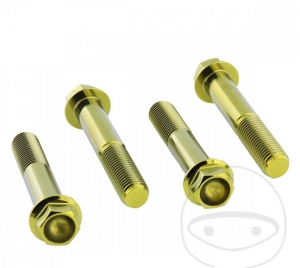 Front caliper bolt set Pro Bolt titanium gold - Honda CB 1000 R ('08-'16) / Honda CB 1000 RA ABS ('08-'16) - JM
