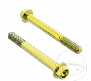 Front caliper bolt set Pro Bolt titanium gold - KTM RC 390 ABS ('14-'16) - JM