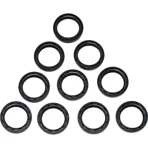 Gabeldichtungs-Set/Staubdichtungen 10 Stück - 04070667