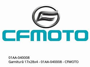 Garniture 17x28x4 - 01AA-040008 - CFMOTO