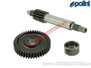 Grup primar spate - 13/44Z - Minarelli / Yamaha - 50cc 2T - (Polini)