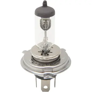 Halogen-Scheinwerferlampe - 20010378