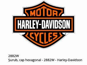 Hatlapfejű csavar - 2882W - Harley-Davidson