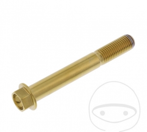 Hatlapos csavar Pro Bolt M10 x 1.25 x 75 mm rozsdamentes acél A4 arany - JM