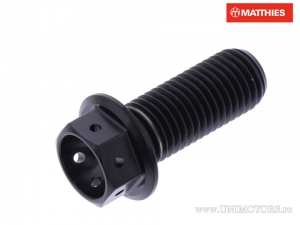 Hexagonal Cap Screw Pro Bolt M10 x 1.25 x 20 mm Titanium Racing Black - JM