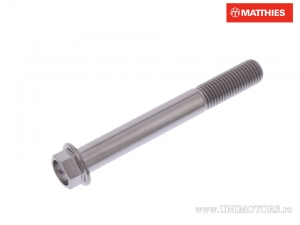 Hexagonal Cap Screw Pro Bolt M10 x 1.25 x 80 mm titanium - JM