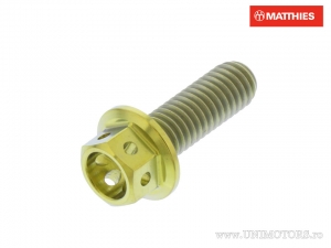 Hexagonal Cap Screw Pro Bolt M6 x 1.00 x 18 mm Titanium Racing Gold - JM