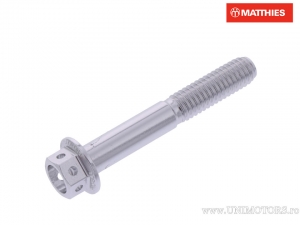 Hexagonal Cap Screw Pro Bolt M6 x 1.00 x 40 mm Aluminum Racing Silver - JM