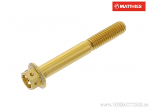 Hexagonal Cap Screw Pro Bolt M6 x 1.00 x 45 mm Aluminum Racing Gold - JM