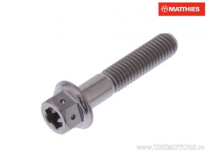 Hexagonal Dual Pro Bolt Screw M5 x 0.80 x 25 mm Titanium Racing Grip - JM