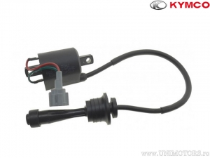 Inductiespoel - Kymco MyRoad 700 i ABS ('12-'15) - Kymco