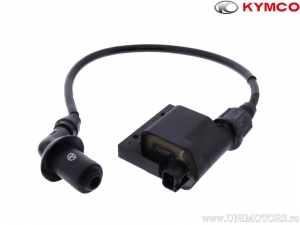 Inductiespoel - Kymco People 200 S i ('08-'15) - Kymco