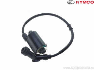 Inductiespoel - Kymco Xciting 250 ('06) - Kymco