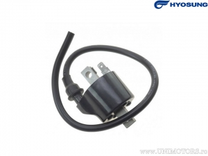 Induction coil (rear cylinder) - Hyosung GV 125 Aquila / GV 125 M Aquila / GV 125 M Aquila Classic Version / GV 250 - Hyosung