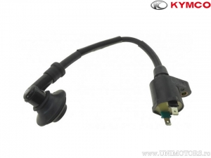 Induktionspule - Kymco Maxxer 50 / Maxxer 50 S / MXU 50 - Kymco