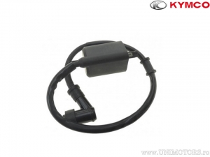 Induktionspule - Kymco People 300 S i ('08-'10) - Kymco