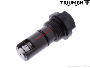 Kettenspanner - Triumph Rocket 2460 3 R / Rocket 2460 3 GT ('19-'21) / Rocket 2460 3 TFC ('19-'20) - Triumph