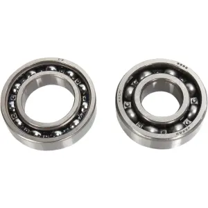 Kit cuscinetti contrappeso - 09500547