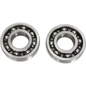 Kit cuscinetti contrappeso - 09500611