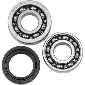 Kit cuscinetti contrappeso - 09500908