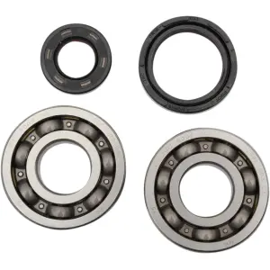Kit cuscinetti e guarnizioni per albero motore principale - 09240052