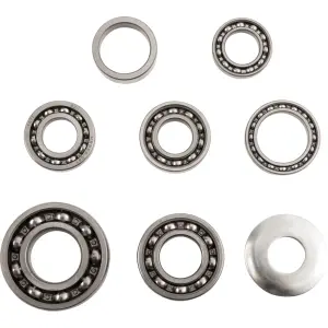Kit cuscinetti trasmissione - 11060139
