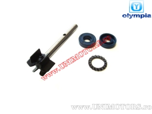 Kit de réparation de pompe à eau - Aprilia Leonardo 125cc/150cc 4T (jusqu'à l'année 2000) - (Olympia)