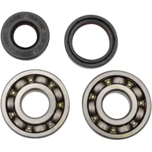 Kit de rodamientos y retenes para cigüeñal principal - 09240059