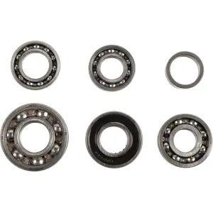 Kit de rolamentos de transmissão - 11060143