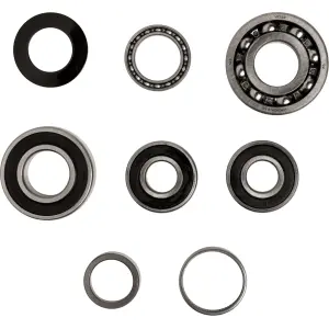 Kit de roulements de transmission - 11060165