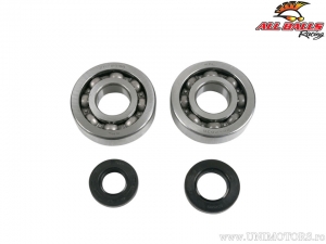 Kit de roulements de vilebrequin et joints - Kawasaki KX250 - All Balls
