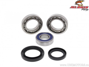 Kit de roulements et joints de roue arrière - Yamaha YFM35FX Wolverine ('00-'05) - All Balls